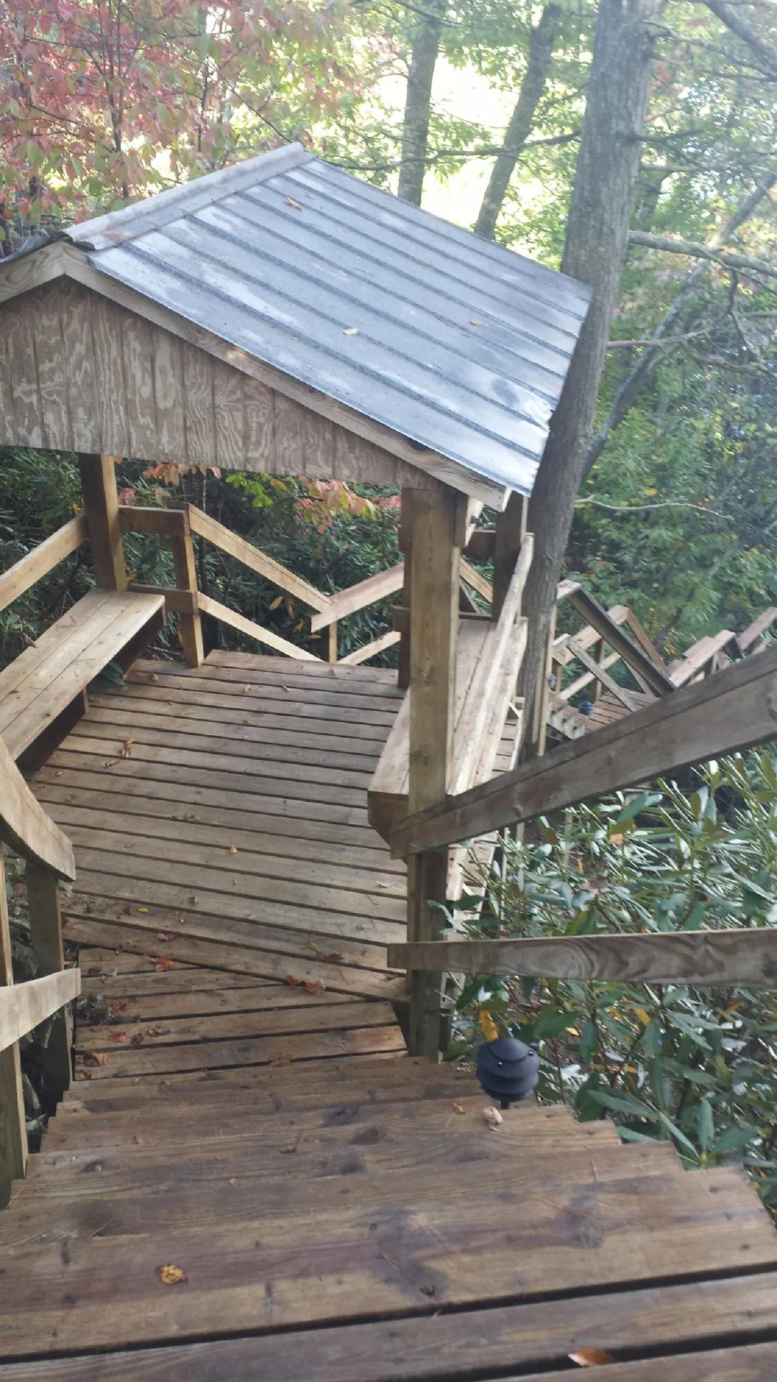 Metal roofed shelter over wooden steps on a wooded walkway — Skylight Repair & Installation work by our crew in Columbia City