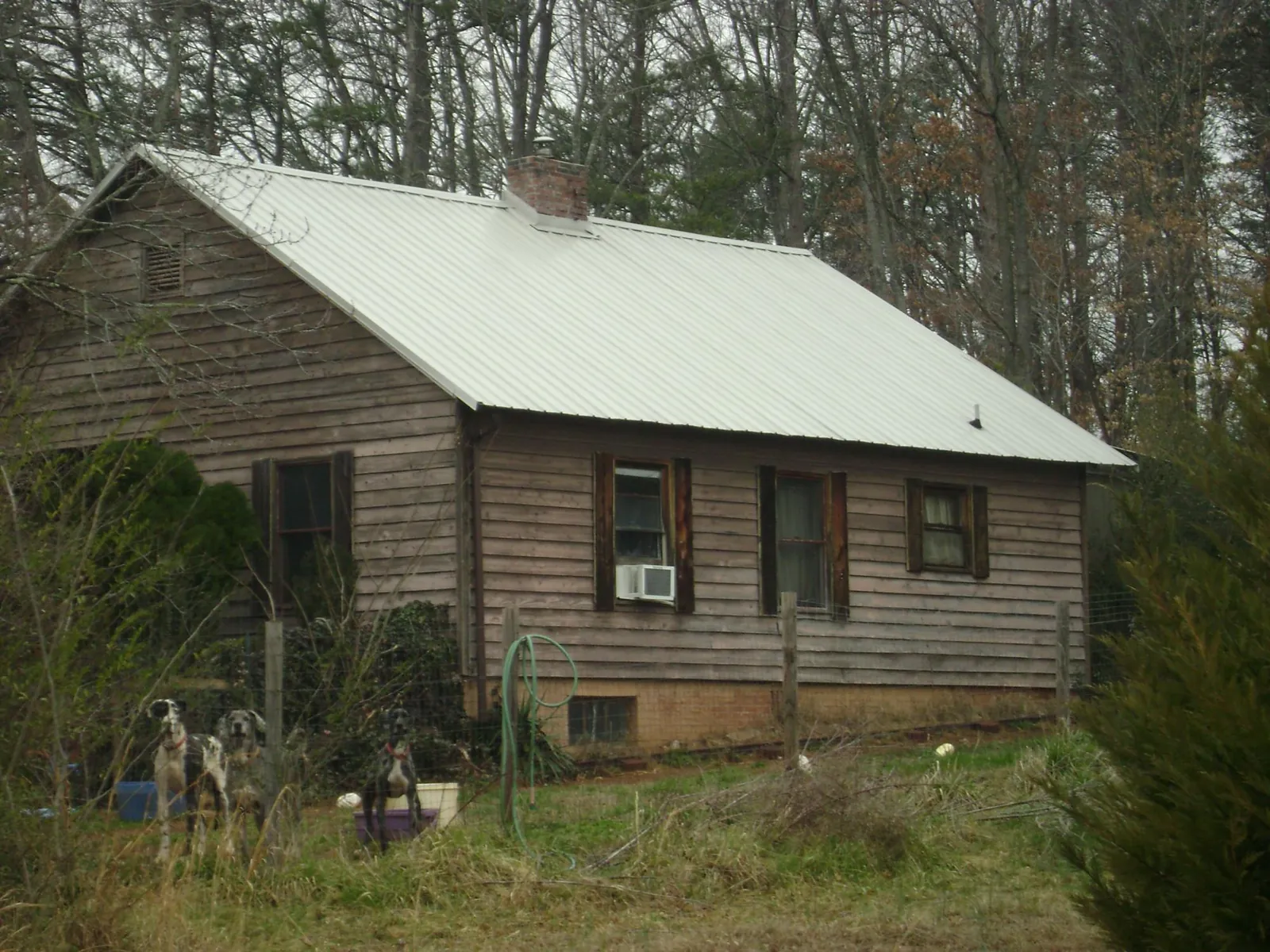 White metal roof on an old wood sided farmhouse, from a Metal Roof Installation job in Columbia City